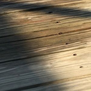 Meet your Posher, Robbie